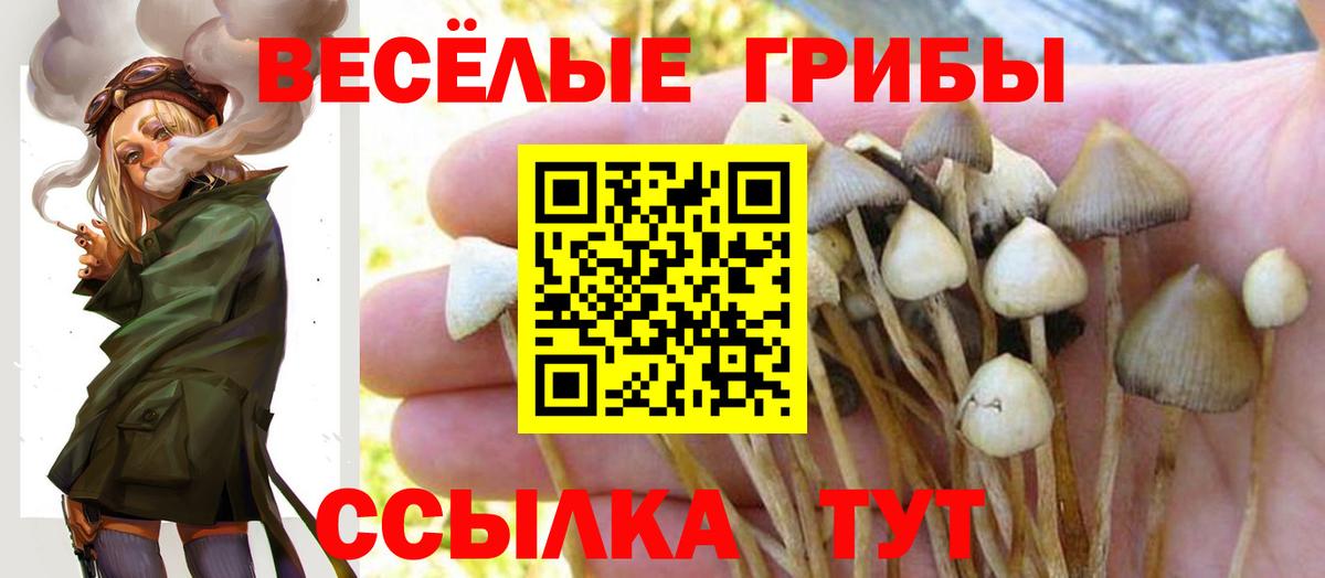 Псилоцибиновые грибы MAGIC MUSHROOMS  Галлюциногенные грибы Psilocybine cubensis  Вход с VPN  где продают наркотики  Грозный 