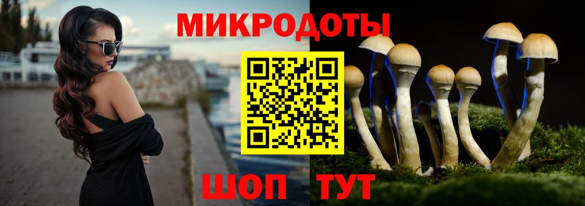 Галлюциногенные грибы мухоморы Грозный